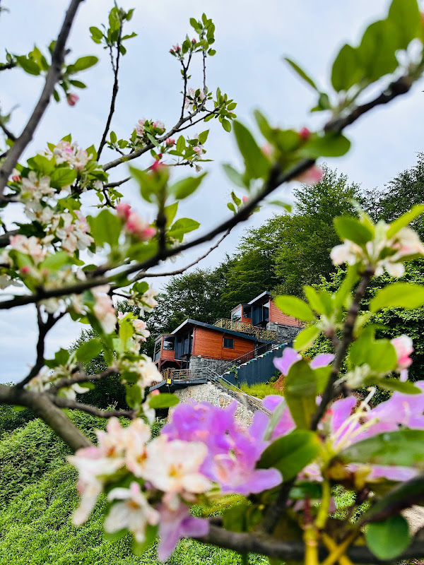 Novella Bungalov
