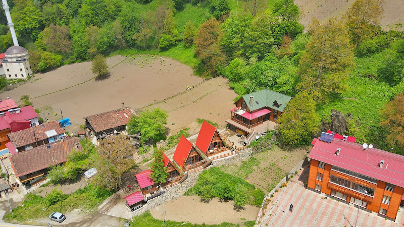 THE WOODEN HOUSE