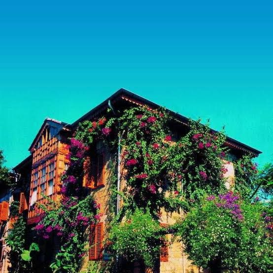 Kaktüs Boutique Otel Side