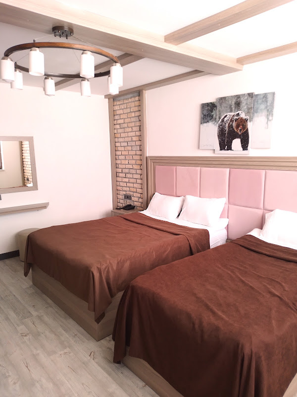 Metinoglu Pansiyon (Chalet Khione) Sarıkamıs