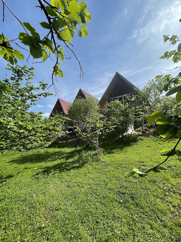 Kaşüstü Bungalov