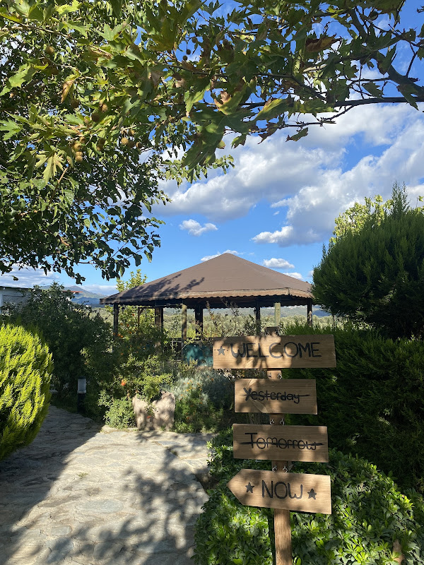 Aura Bungalov