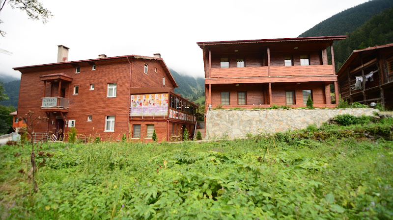 Apart Uzungol