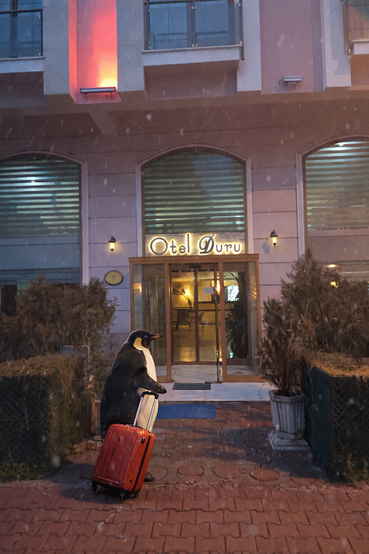 Hotel Duru Bucak
