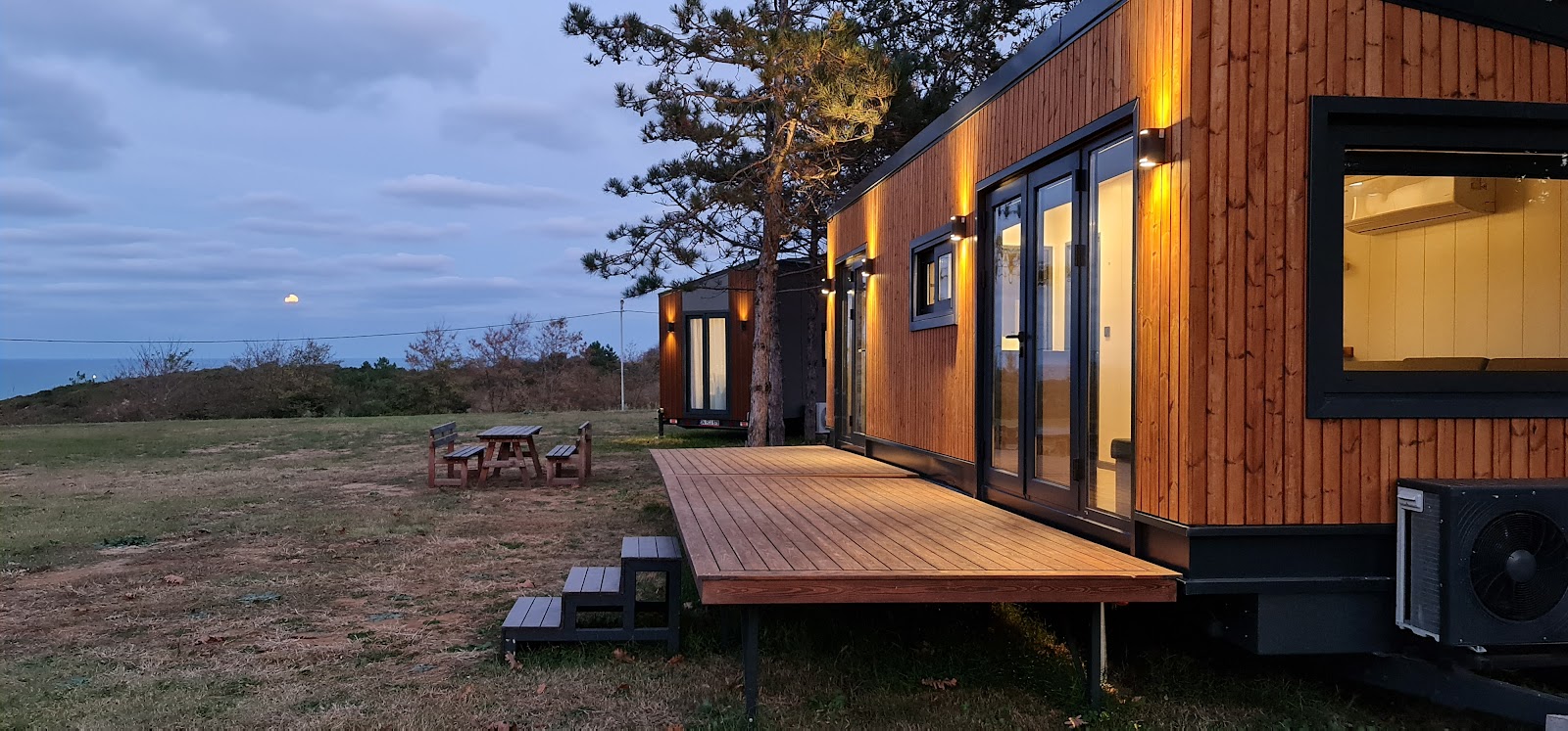 Mavi At Hotel Blue Horse