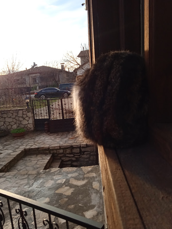 BİRDANE KONAK