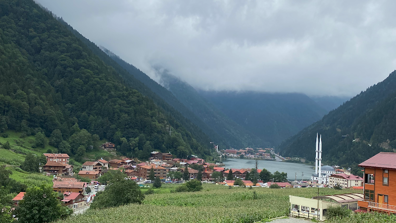 Zeren Pension