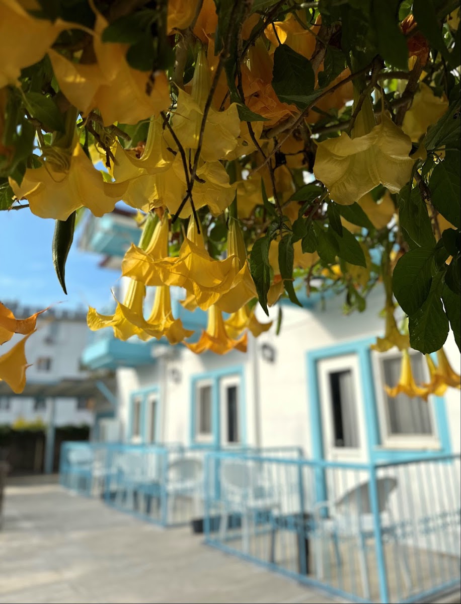 Hotel Barlas Fethiye