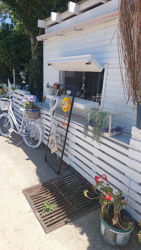 MARTI MOTEL